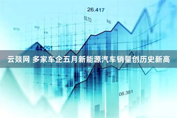 云燚网 多家车企五月新能源汽车销量创历史新高