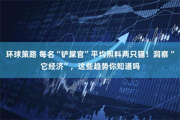 环球策路 每名“铲屎官”平均照料两只猫！洞察“它经济”，这些趋势你知道吗