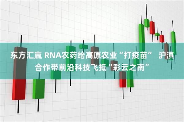 东方汇赢 RNA农药给高原农业“打疫苗”  沪滇合作带前沿科技飞抵“彩云之南”