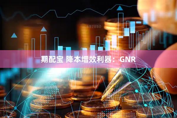 期配宝 降本增效利器：GNR