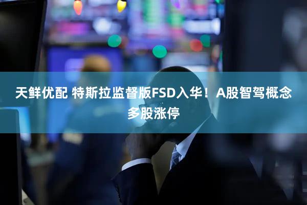 天鲜优配 特斯拉监督版FSD入华！A股智驾概念多股涨停