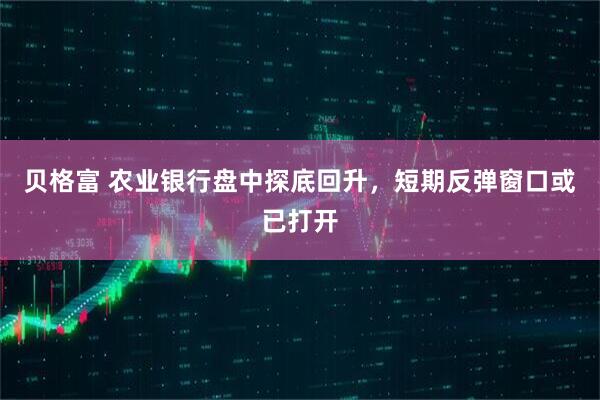 贝格富 农业银行盘中探底回升，短期反弹窗口或已打开