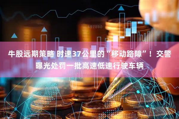 牛股远期策略 时速37公里的“移动路障”！交警曝光处罚一批高速低速行驶车辆